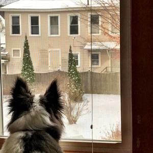 Meet your Posher, Monica